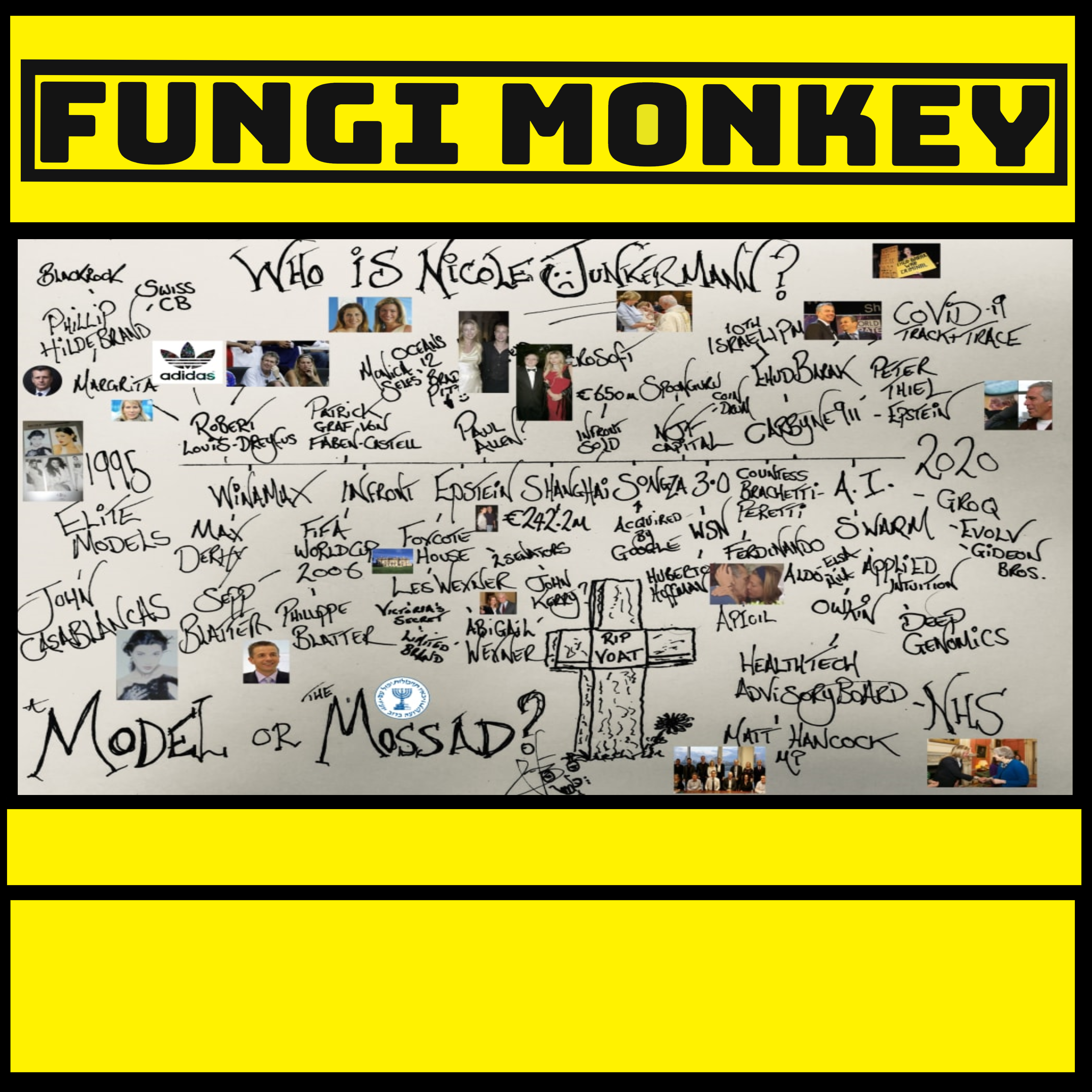 Nicole Junkermann 3.0: Model or Mossad?