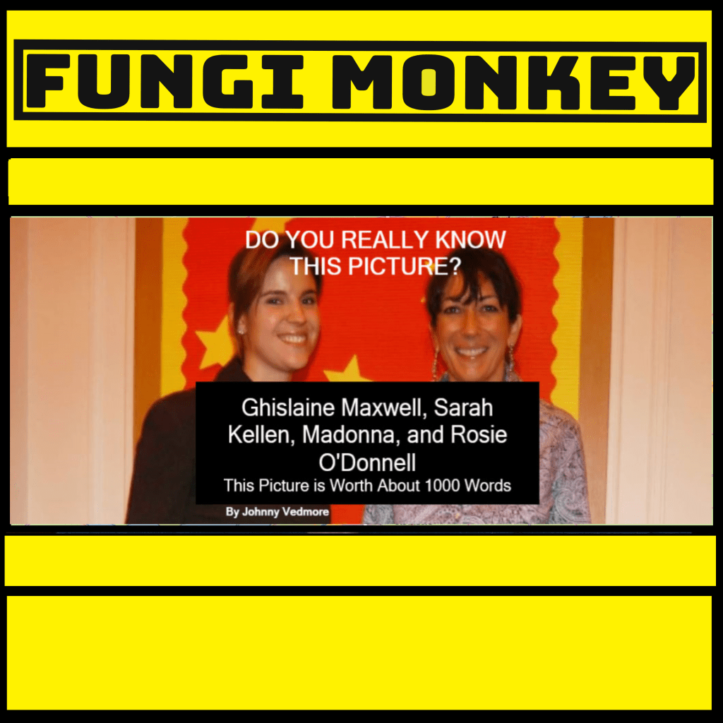Ghislaine Maxwell, Sarah Kellen, Madonna, and Rosie&nbsp;O’Donnell