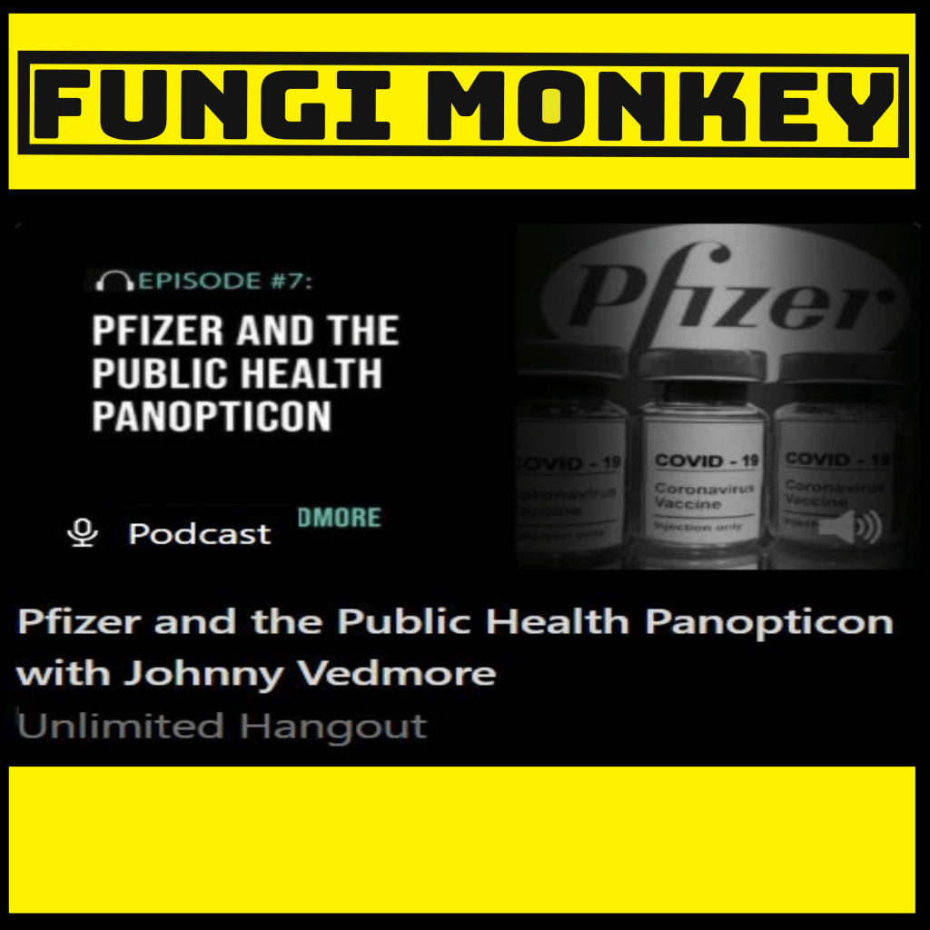 Unlimited Hangout Podcast #7 with Johnny&nbsp;Vedmore