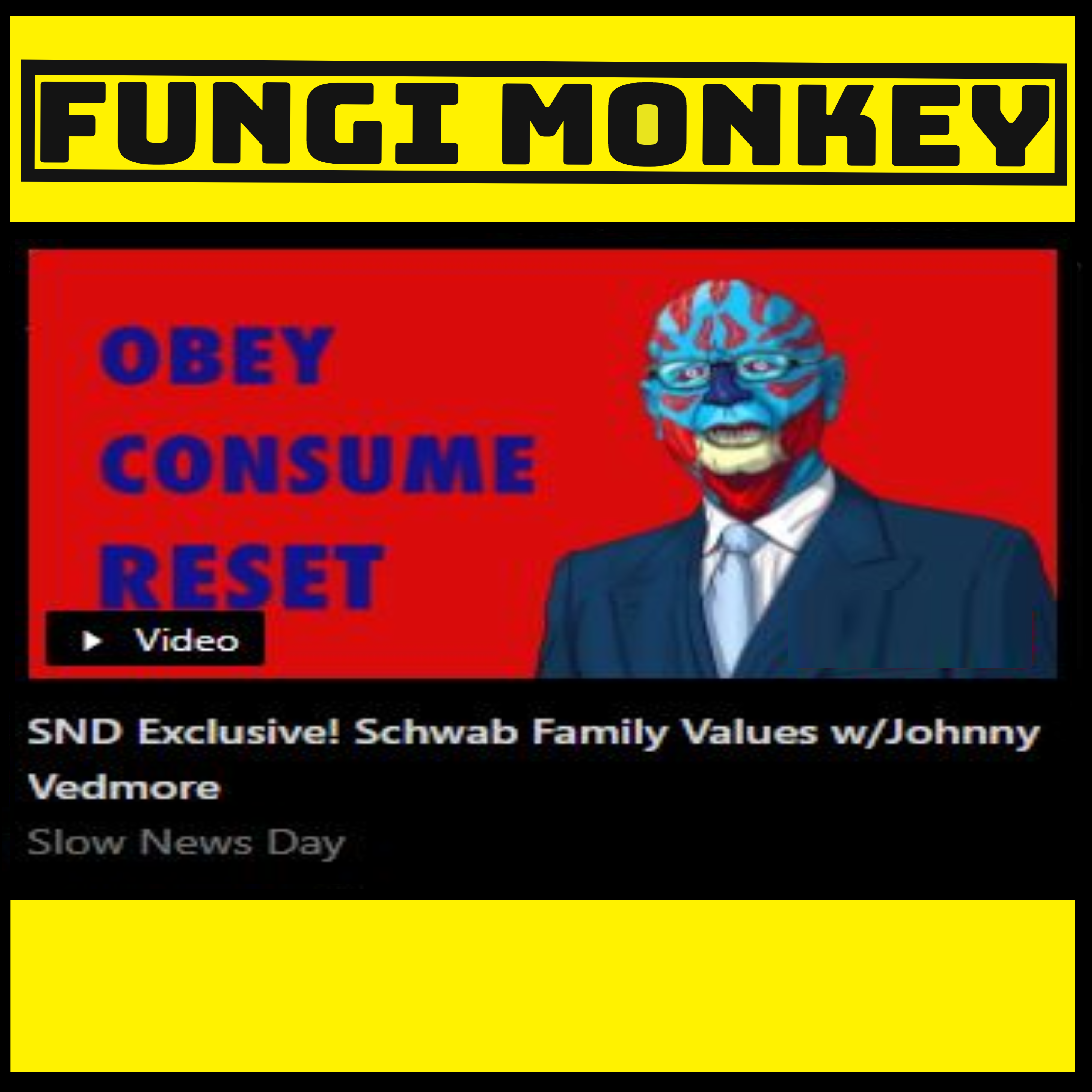 The Schwabs: A Model, Nuclear Family w/Johnny Vedmore on SND