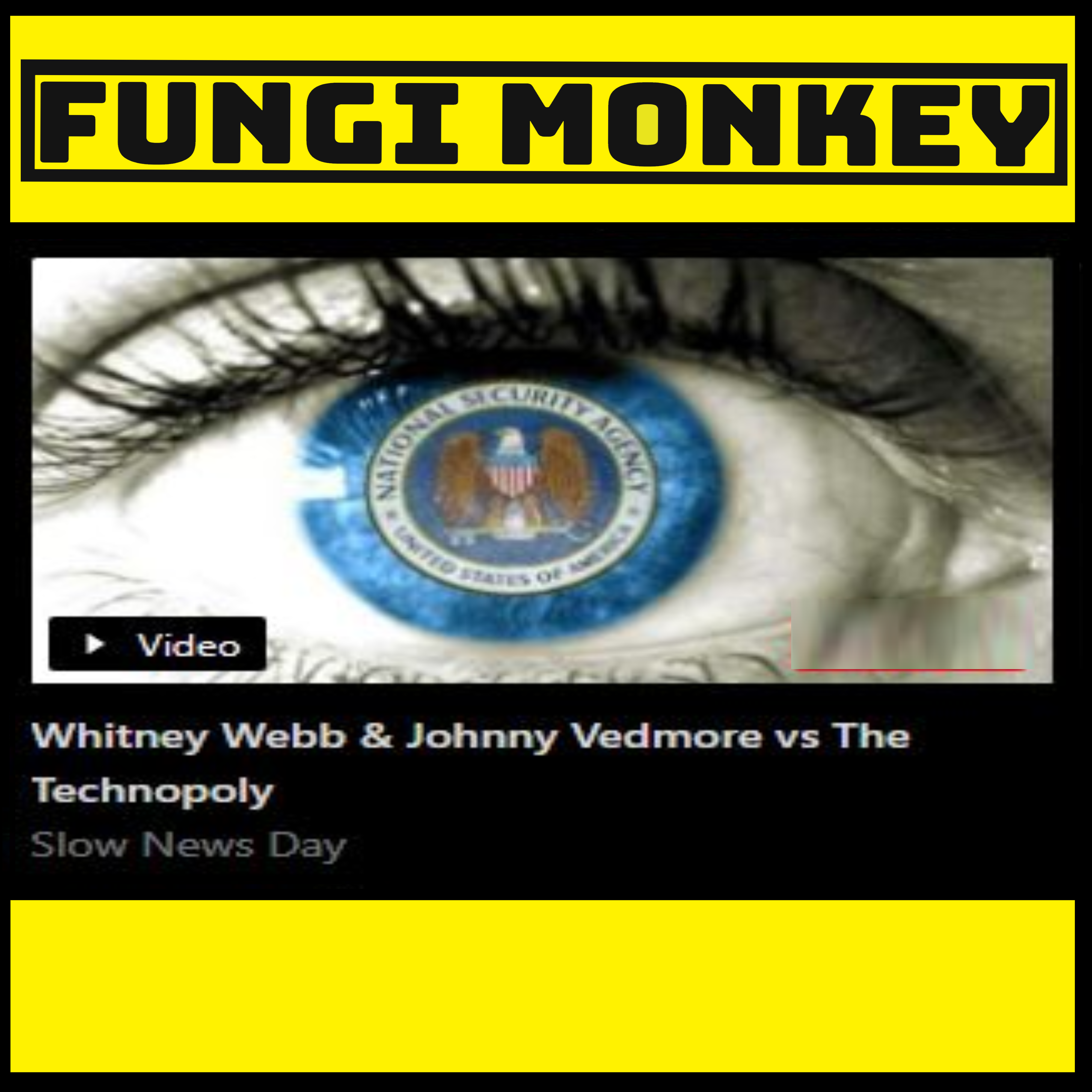 Whitney Webb & Johnny Vedmore vs The Technopoly