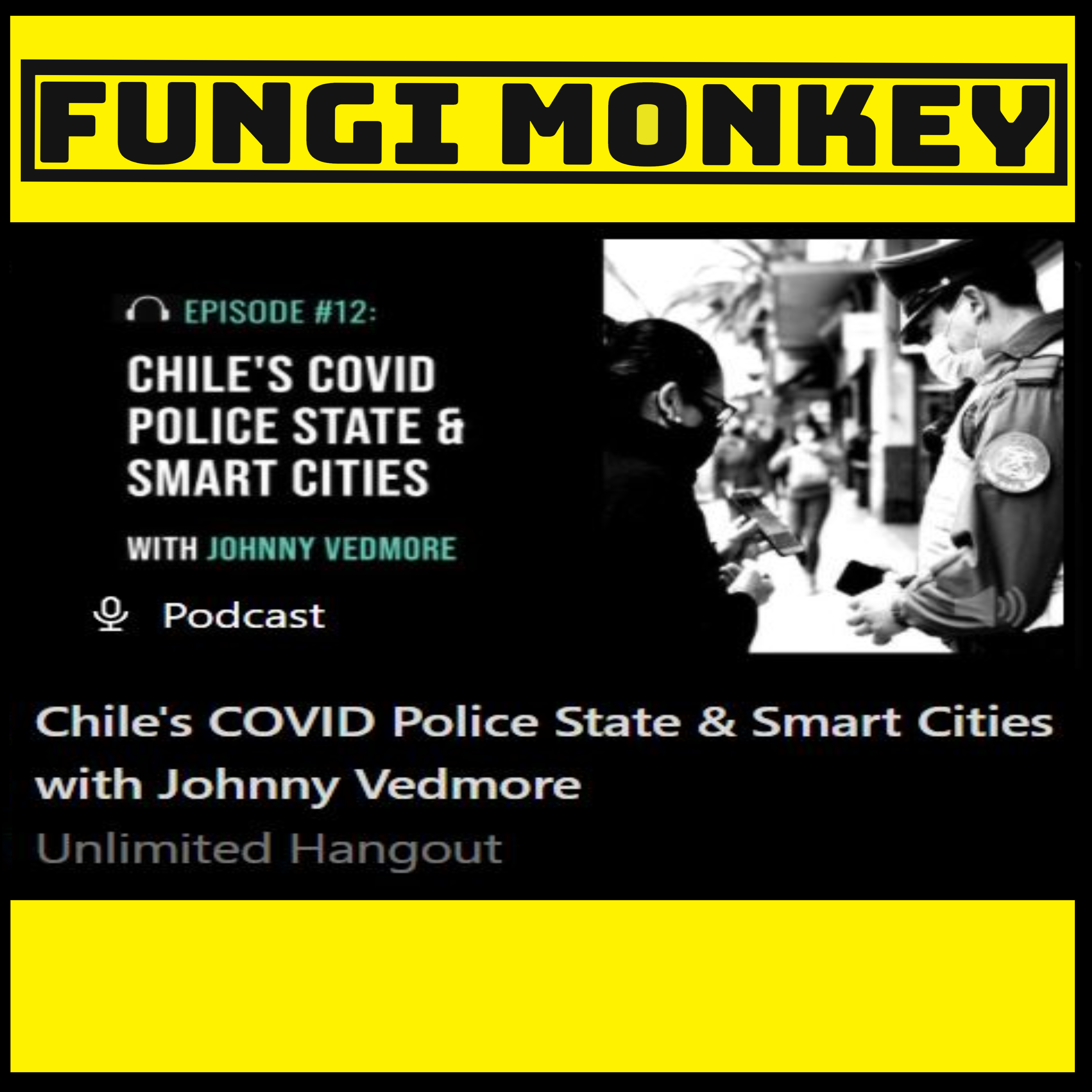 Unlimited Hangout Podcast #17 with Johnny Vedmore