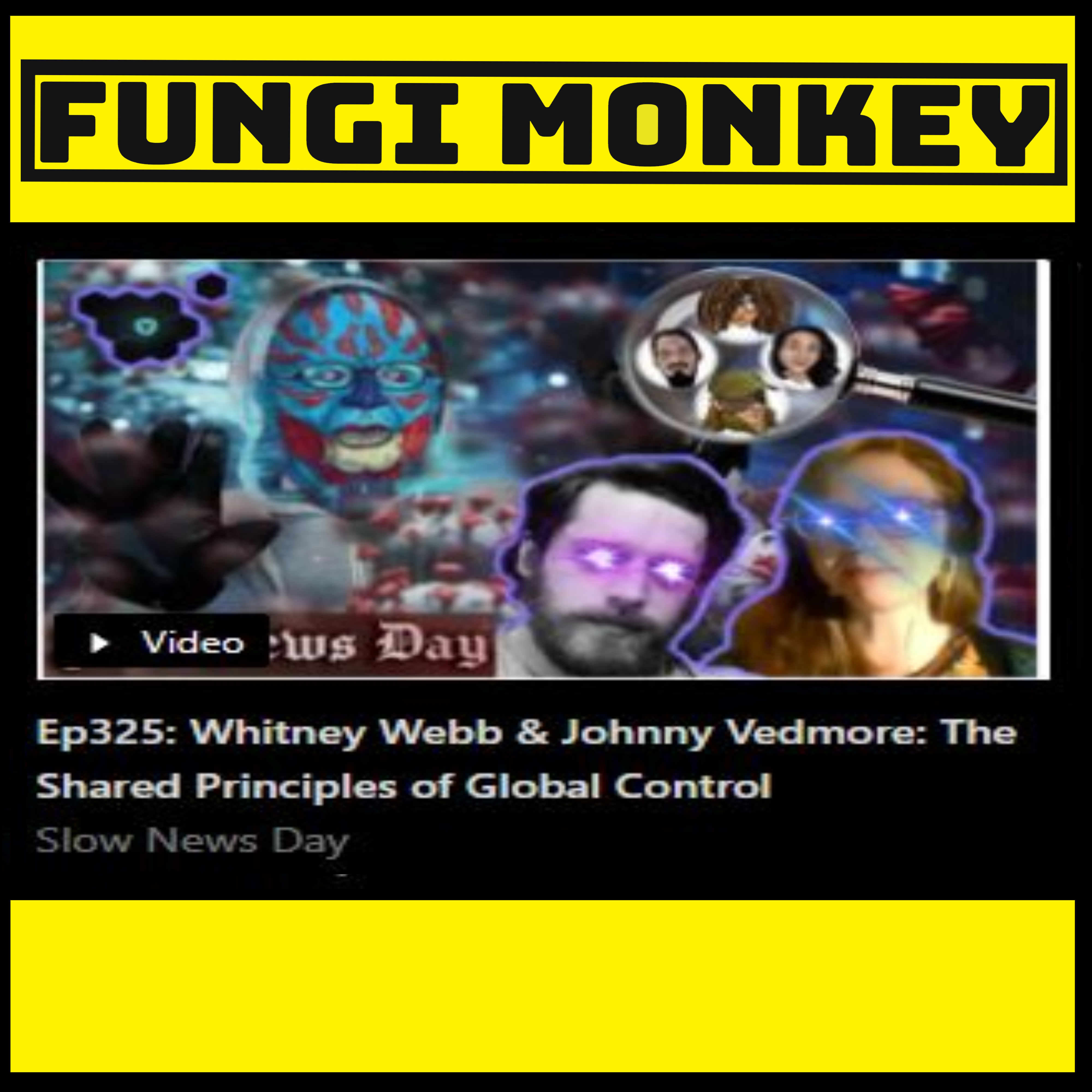 Ep325: Whitney Webb & Johnny Vedmore