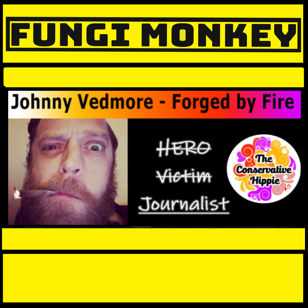 The Conservative Hippie&nbsp;Podcast