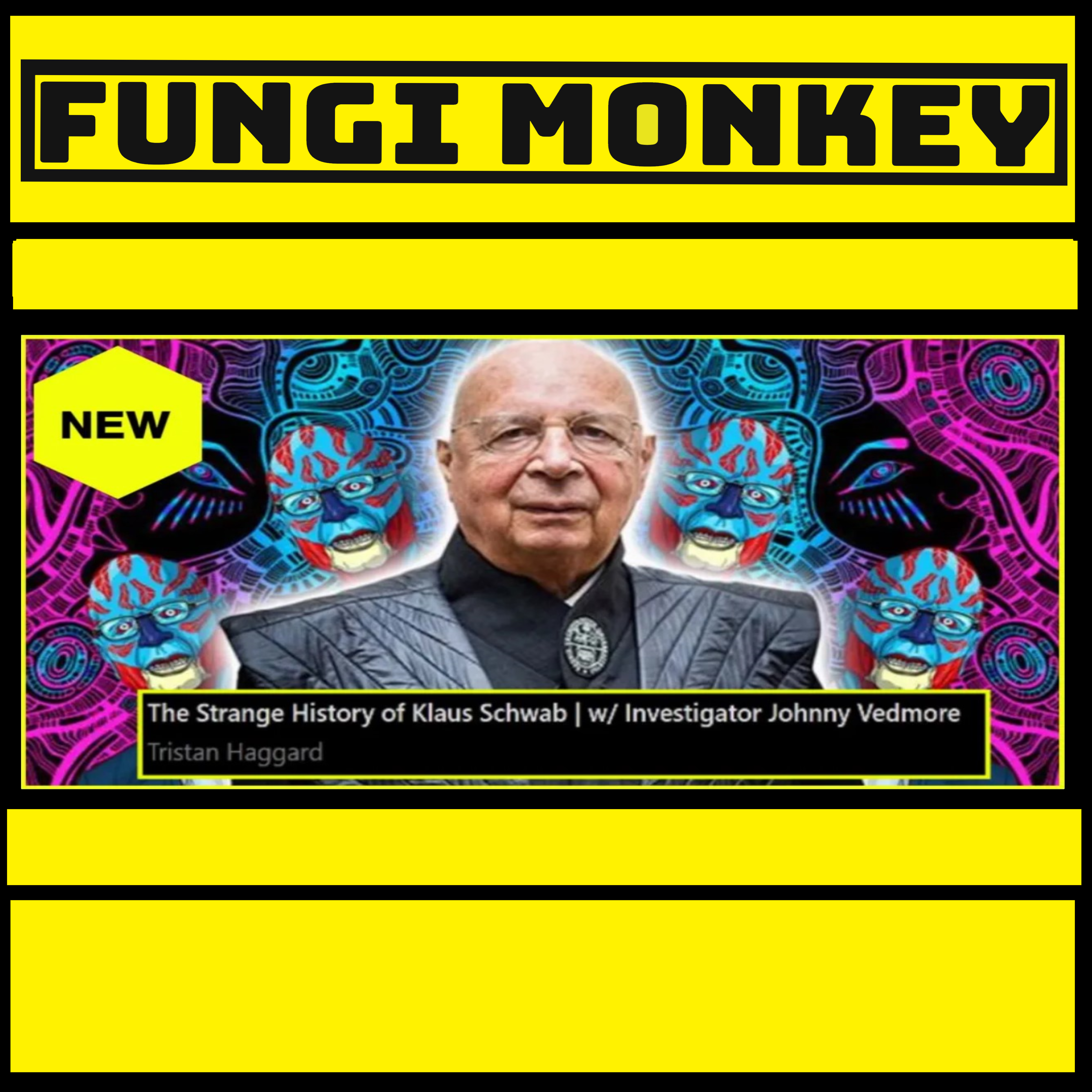 The Strange History of Klaus Schwab