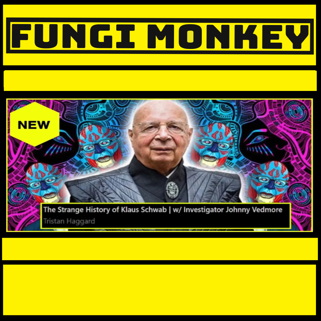 The Strange History of Klaus&nbsp;Schwab