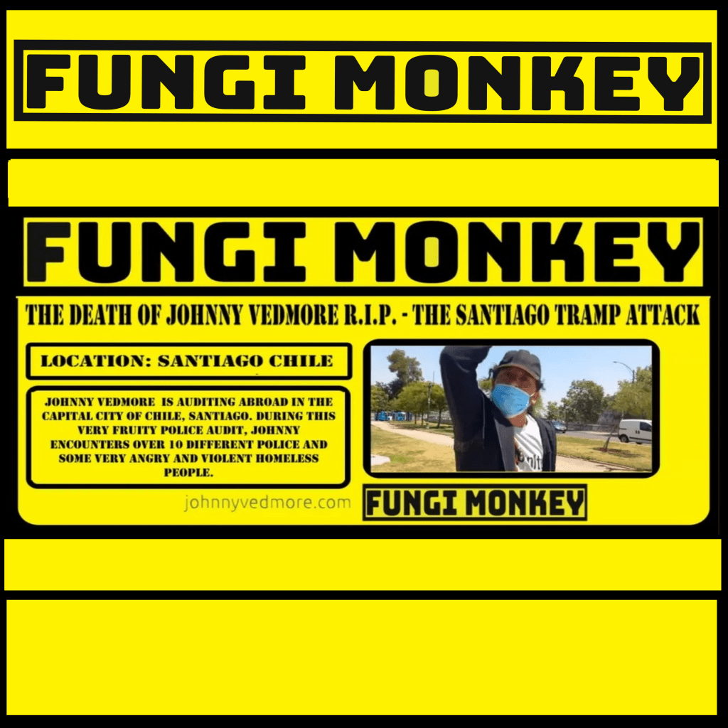 The Death of Johnny Vedmore R.I.P. – The Santiago Tramp&nbsp;Attack