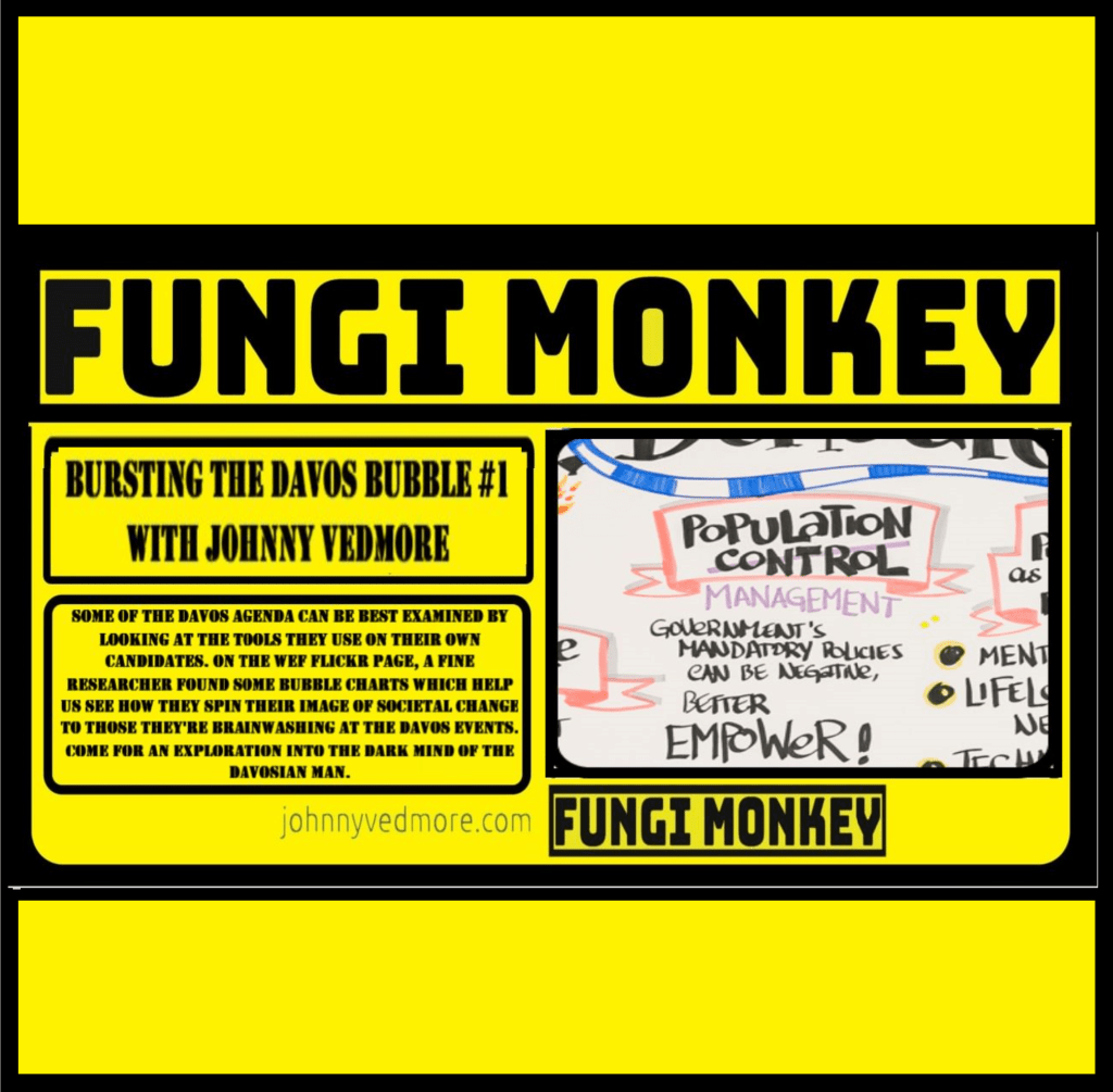 Bursting the Davos Bubble&nbsp;#1
