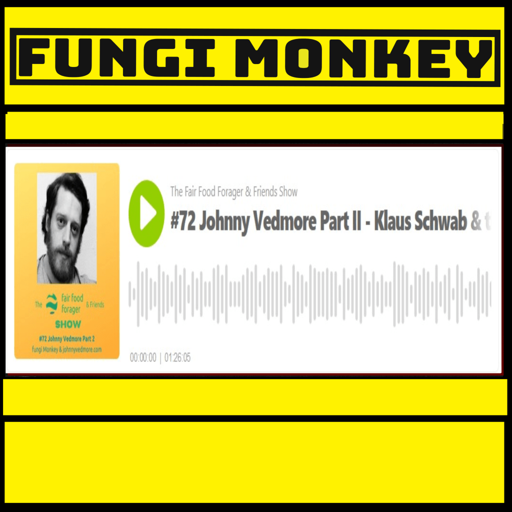 Johnny Was On The Fair Food Forager & Friends Show (Part&nbsp;2)