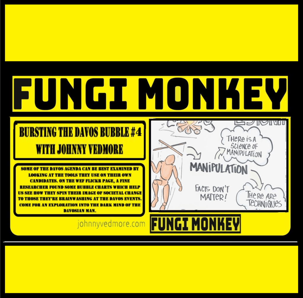 Bursting the Davos Bubble&nbsp;#4