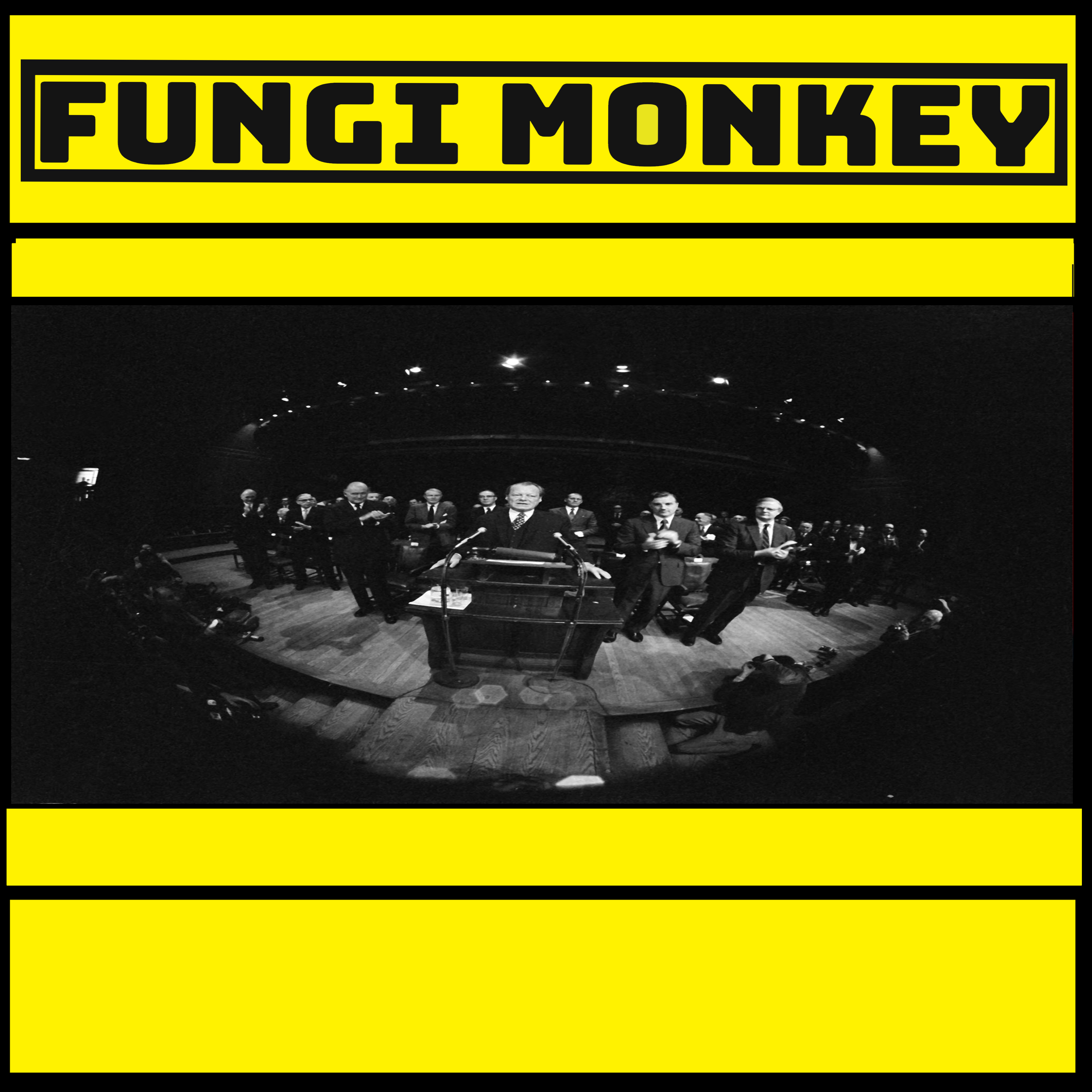 Guido Goldman, the CFR, and the German Marshall Fund