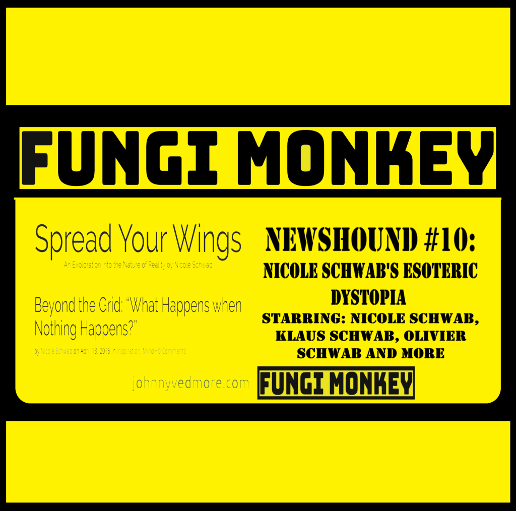NEWSHOUND #10 – Nicole Schwab’s Esoteric&nbsp;Dystopia