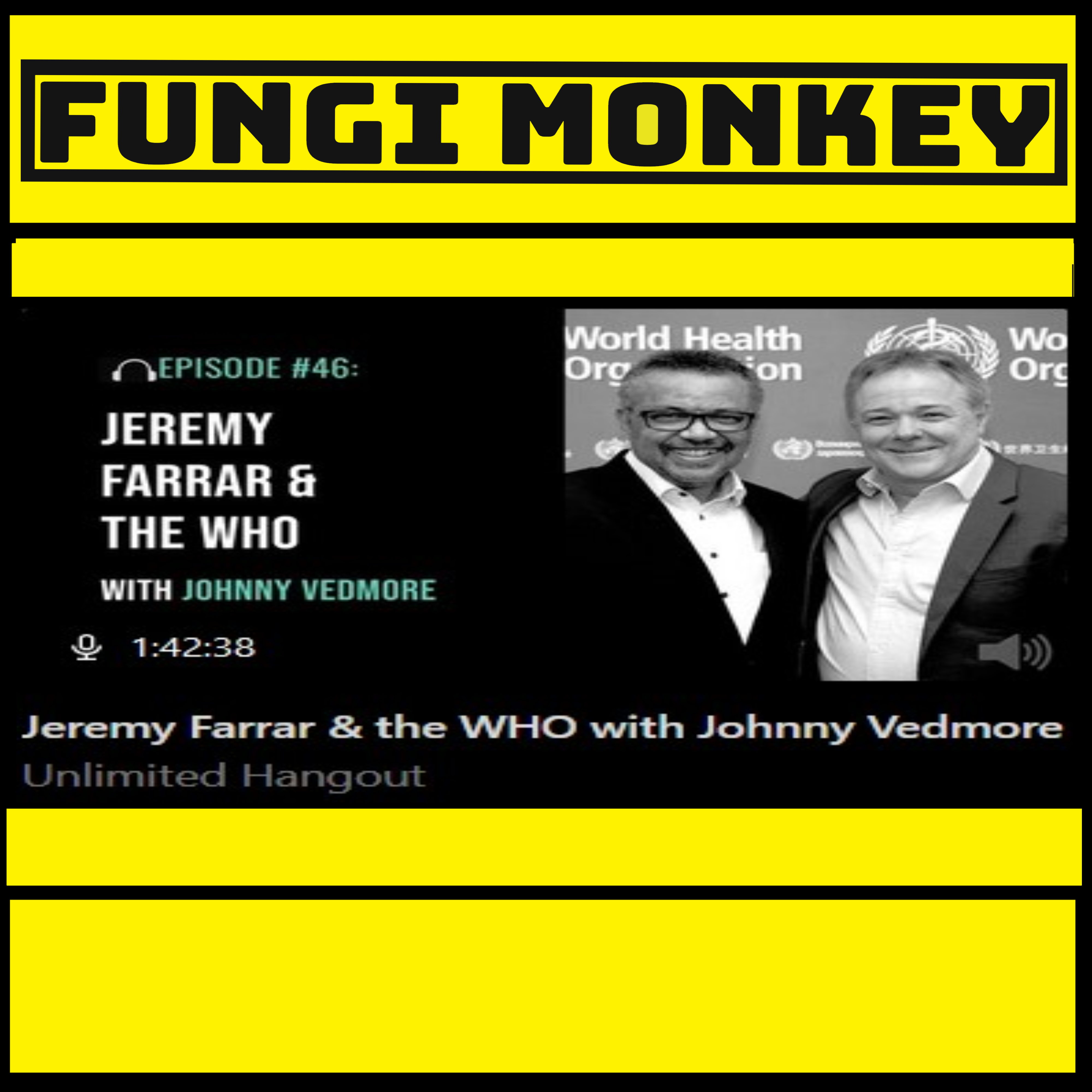 Unlimited Hangout Podcast #46 with Johnny Vedmore