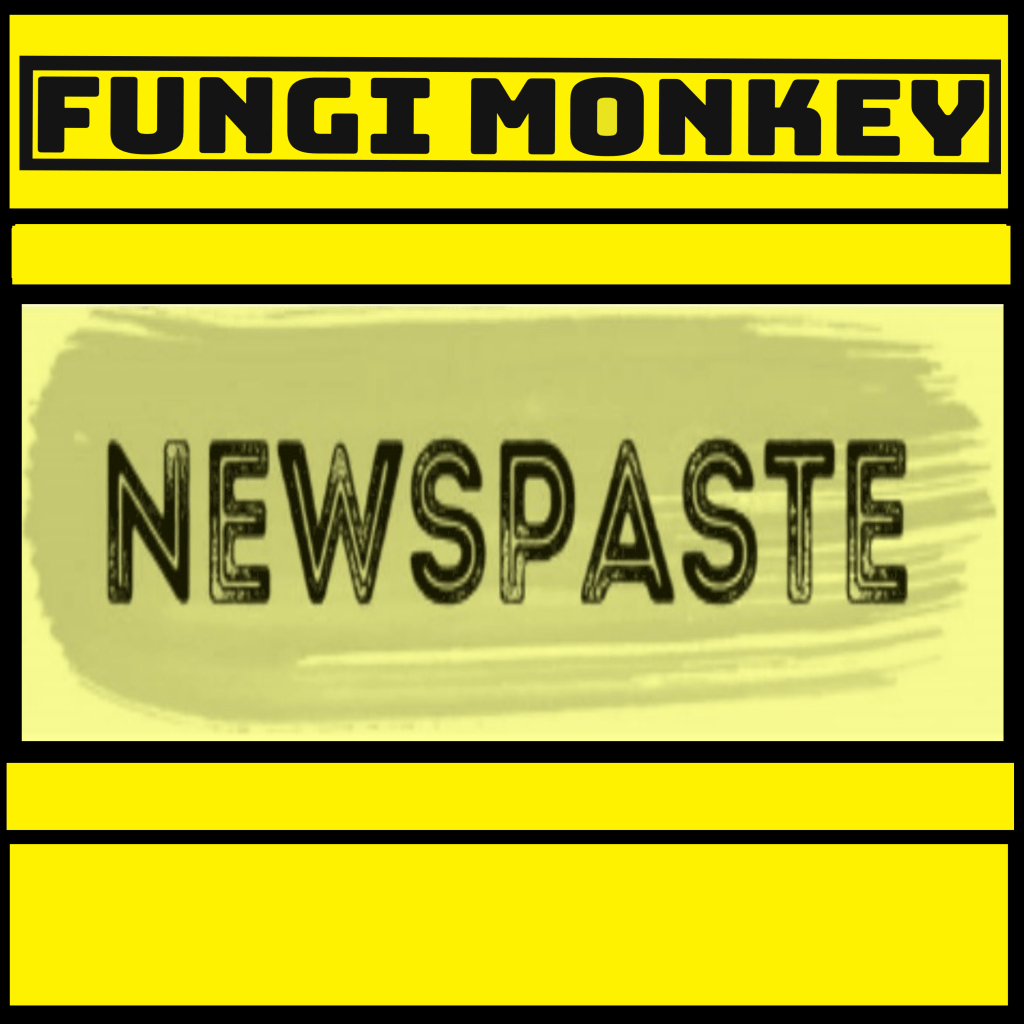 Johnny Has Launched&nbsp;NEWSPASTE.com