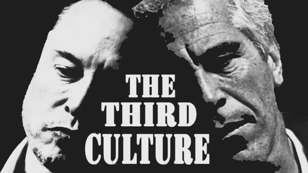 Musk and Epstein: The Third Culture Dossier